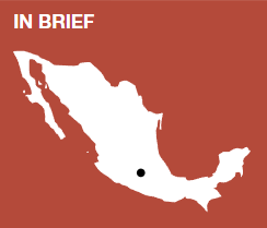 全球遗产保护更新案例集 ③︱砖瓦重生城市